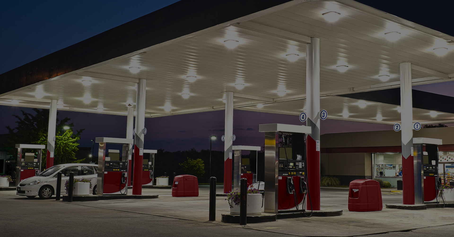 lorem ipsum dolor sit